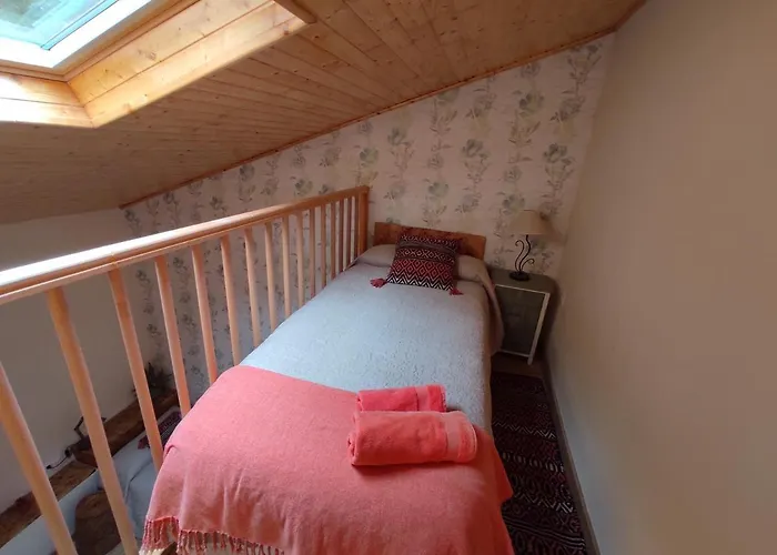 Jardin Mandala - Rural 