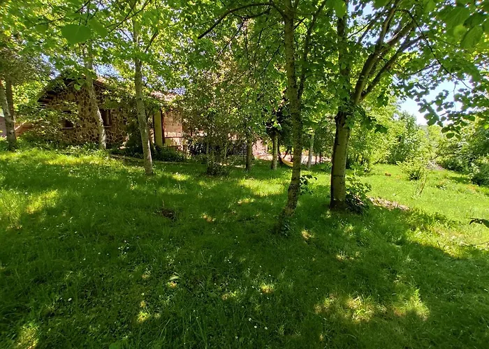 Jardin Mandala - Rural 